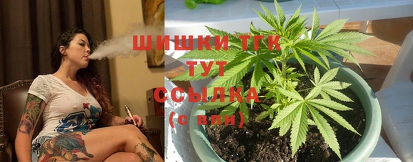 кокс Баксан