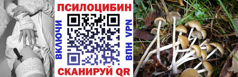 Псилоцибиновые грибы мухоморы Кувшиново