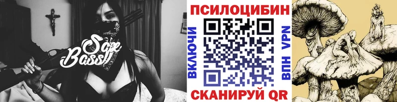 как найти наркотики  Кувшиново  Псилоцибиновые грибы Cubensis 